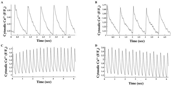 https://cdn.ncbi.nlm.nih.gov/pmc/blobs/f152/9319046/36f8560eda77/cells-11-02261-g007.jpg