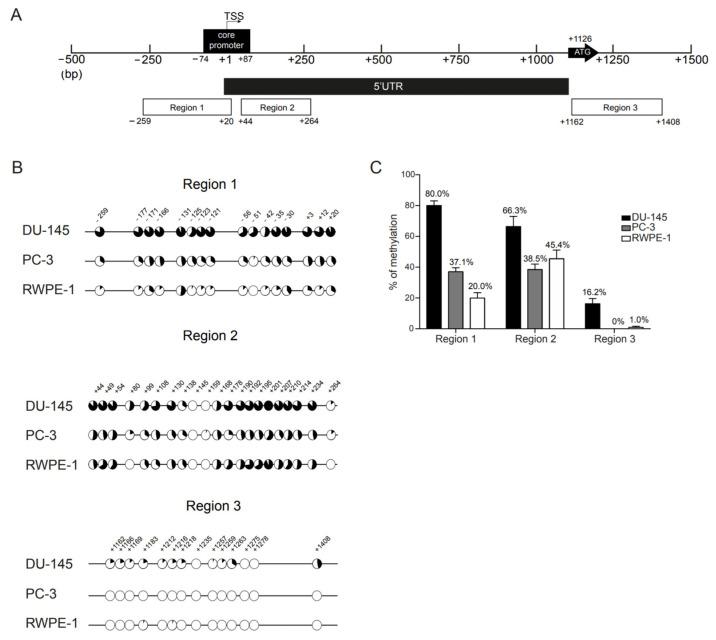 https://cdn.ncbi.nlm.nih.gov/pmc/blobs/f153/10605369/eca93f98a8f7/biomolecules-13-01526-g001.jpg