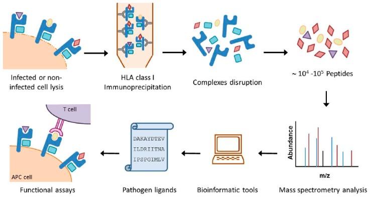 https://cdn.ncbi.nlm.nih.gov/pmc/blobs/f153/6518116/5665c3b3a0da/jcm-08-00486-g001.jpg