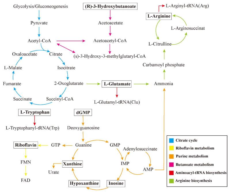 https://cdn.ncbi.nlm.nih.gov/pmc/blobs/f158/11505272/15b2b822a8ca/antioxidants-13-01167-g007.jpg
