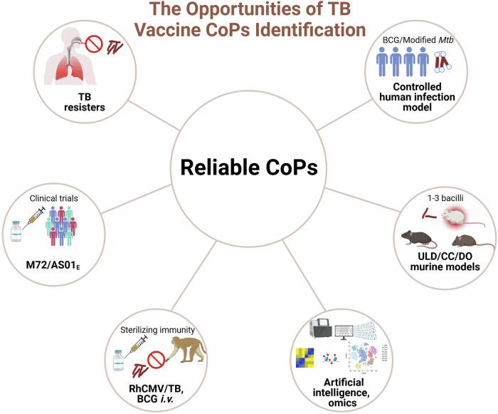 https://cdn.ncbi.nlm.nih.gov/pmc/blobs/f158/11526030/1bfb0938e49e/41541_2024_1004_Fig3_HTML.jpg