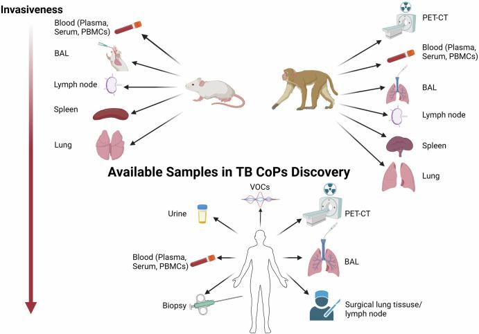 https://cdn.ncbi.nlm.nih.gov/pmc/blobs/f158/11526030/8fdafd380caa/41541_2024_1004_Fig2_HTML.jpg