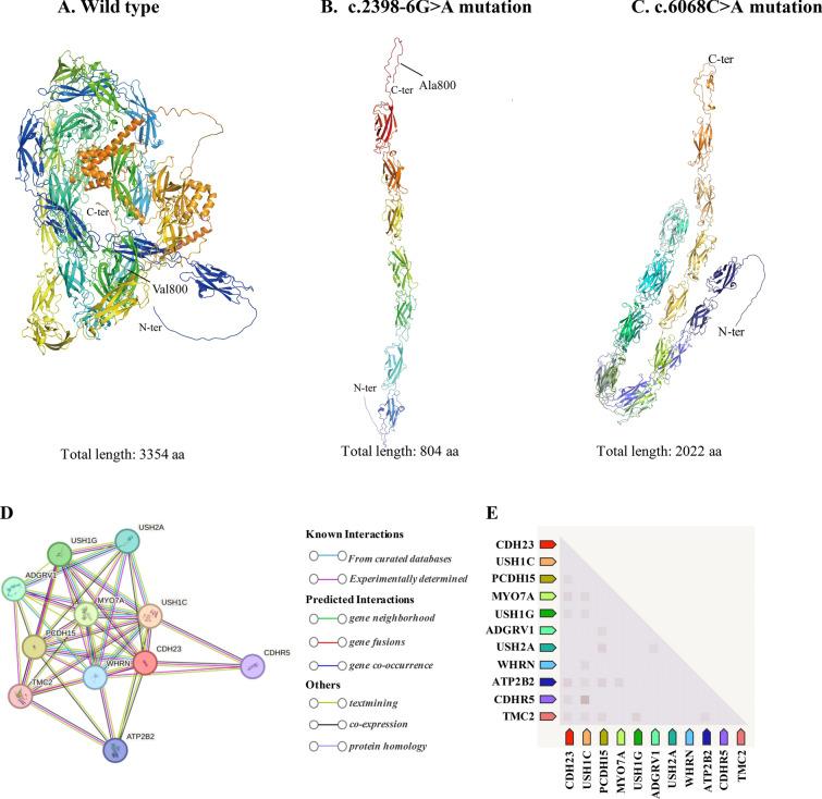 https://cdn.ncbi.nlm.nih.gov/pmc/blobs/f158/11906507/4085ecefb74b/13258_2024_1611_Fig4_HTML.jpg