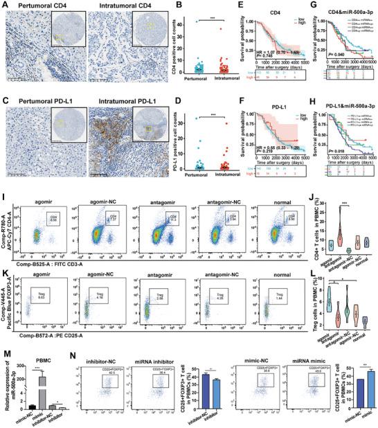 https://cdn.ncbi.nlm.nih.gov/pmc/blobs/f15a/11727405/1dd644268aa5/ADVS-12-2404089-g008.jpg