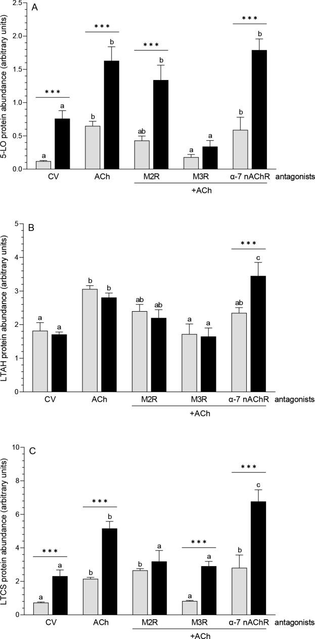 https://cdn.ncbi.nlm.nih.gov/pmc/blobs/f161/11702257/ce19f6fcc57e/j_jvetres-2024-0066_fig_001.jpg