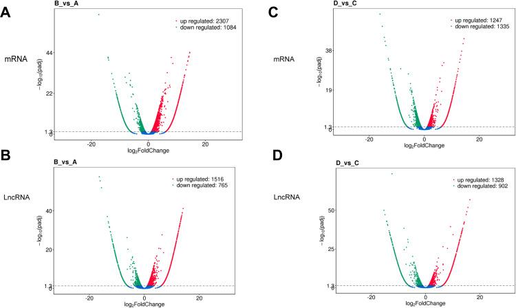 https://cdn.ncbi.nlm.nih.gov/pmc/blobs/f161/8752973/17f1e3f20c25/IJN-17-105-g0006.jpg