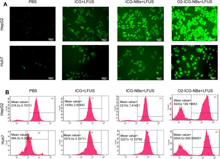 https://cdn.ncbi.nlm.nih.gov/pmc/blobs/f161/8752973/34e10512b312/IJN-17-105-g0003.jpg