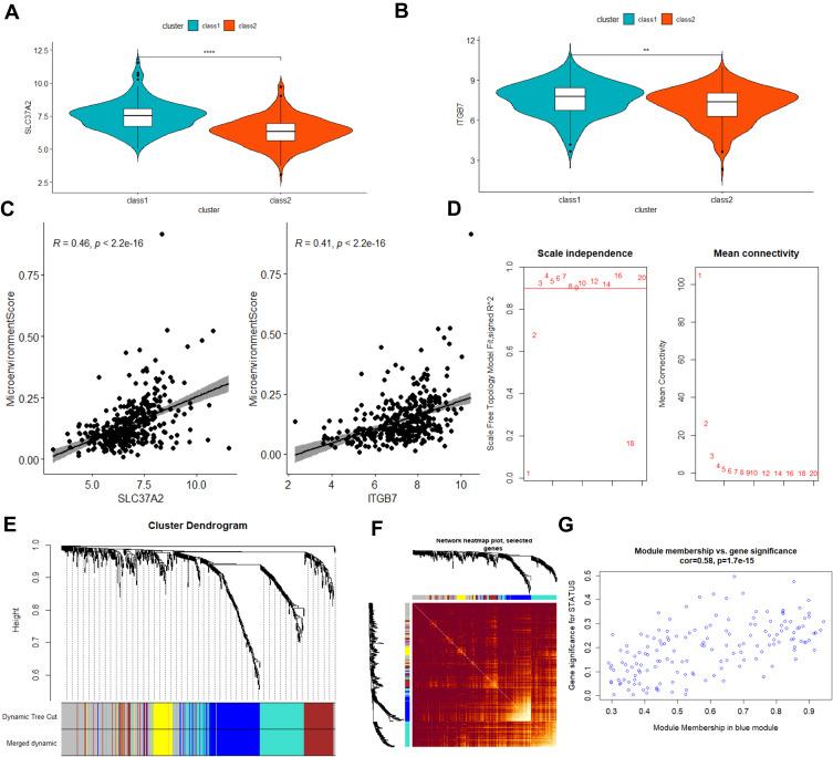 https://cdn.ncbi.nlm.nih.gov/pmc/blobs/f161/8752973/6431ae4d600e/IJN-17-105-g0009.jpg