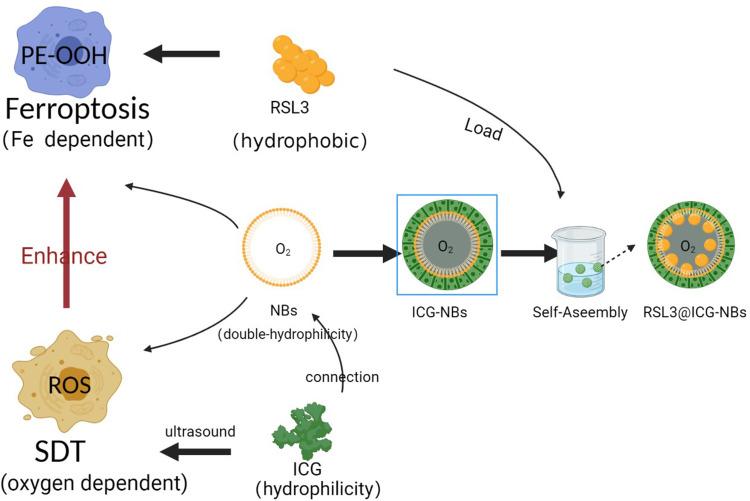https://cdn.ncbi.nlm.nih.gov/pmc/blobs/f161/8752973/ceb8d41f5756/IJN-17-105-g0001.jpg