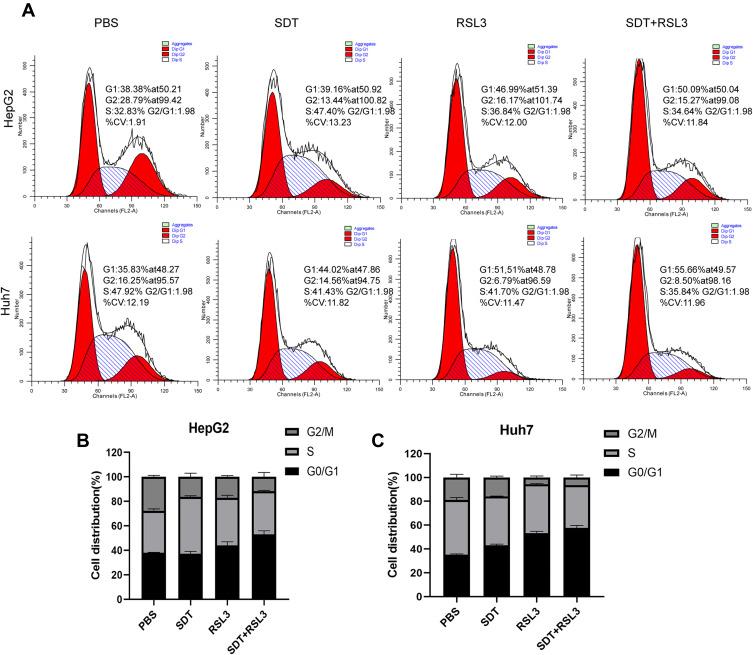 https://cdn.ncbi.nlm.nih.gov/pmc/blobs/f161/8752973/da7095e59ba9/IJN-17-105-g0005.jpg