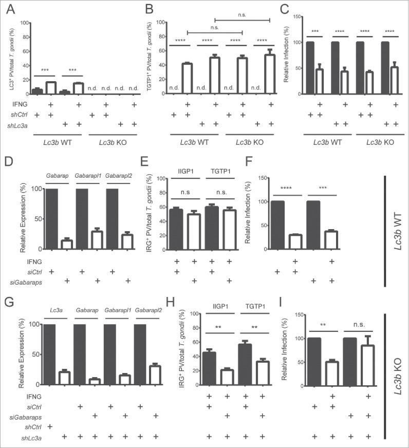 https://cdn.ncbi.nlm.nih.gov/pmc/blobs/f164/4990996/3e4e4c17b758/kaup-12-07-1178447-g003.jpg