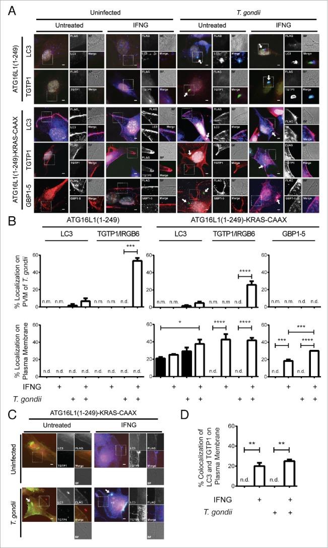 https://cdn.ncbi.nlm.nih.gov/pmc/blobs/f164/4990996/e7e70bdfebcf/kaup-12-07-1178447-g005.jpg