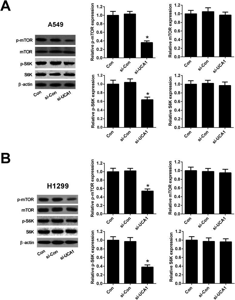 https://cdn.ncbi.nlm.nih.gov/pmc/blobs/f164/9078902/e9fedb6f02d3/c8ra00860d-f5.jpg