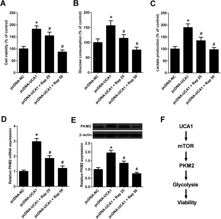 https://cdn.ncbi.nlm.nih.gov/pmc/blobs/f164/9078902/f942cfed4c36/c8ra00860d-f7.jpg