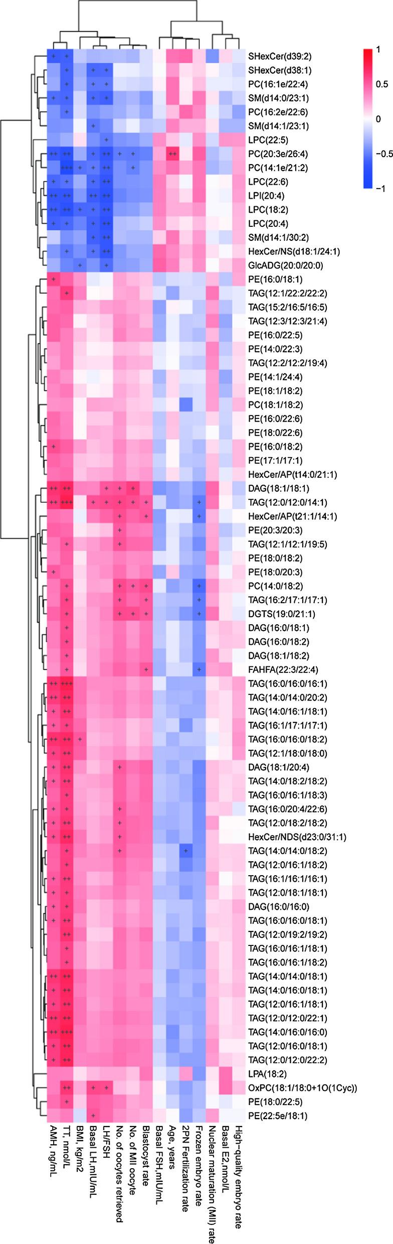 https://cdn.ncbi.nlm.nih.gov/pmc/blobs/f165/11022415/8e63d2fa9696/12967_2024_5167_Fig3_HTML.jpg