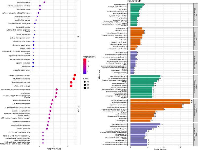 https://cdn.ncbi.nlm.nih.gov/pmc/blobs/f165/11022415/d7452b9acf75/12967_2024_5167_Fig6_HTML.jpg