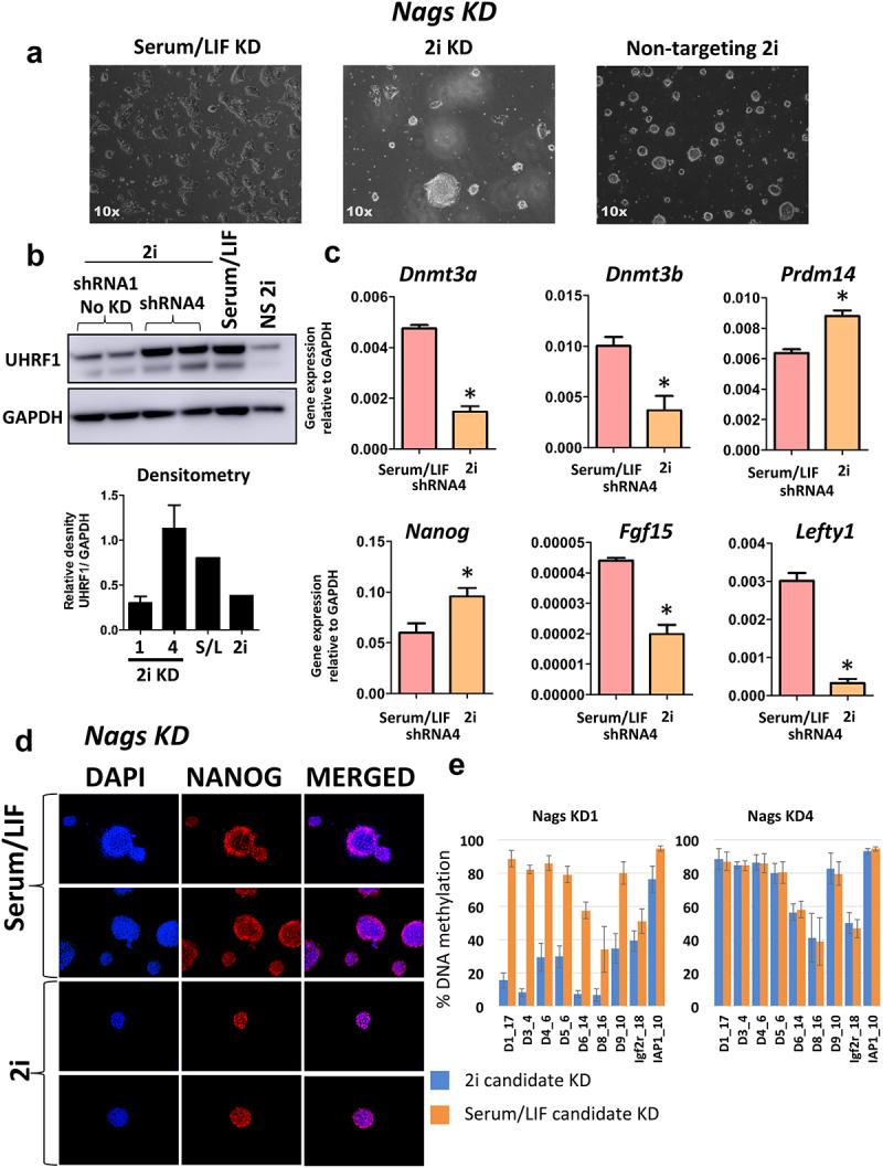 https://cdn.ncbi.nlm.nih.gov/pmc/blobs/f166/9621053/cde765a1edf2/KEPI_A_2044126_F0003_OC.jpg