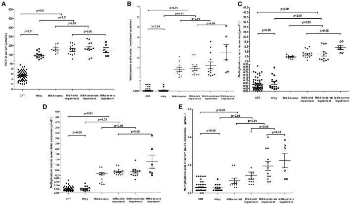 https://cdn.ncbi.nlm.nih.gov/pmc/blobs/f16b/9792485/9f47975eae51/fneur-13-1090958-g0001.jpg