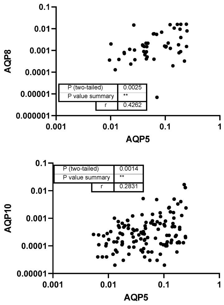 https://cdn.ncbi.nlm.nih.gov/pmc/blobs/f16c/12294493/46ea148b2c7f/genes-16-00804-g004.jpg