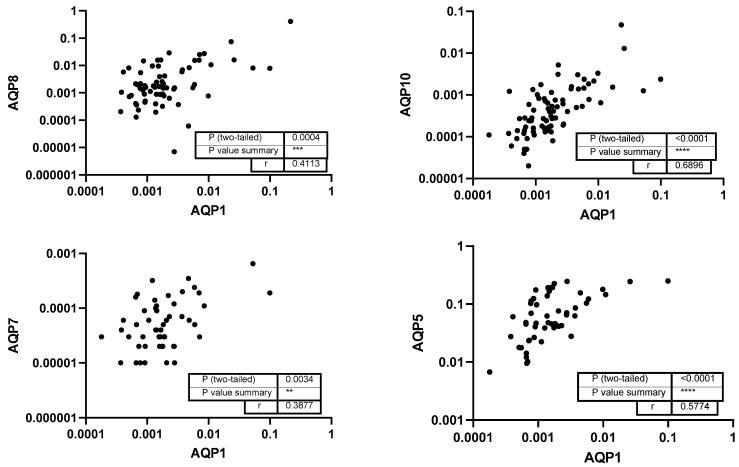 https://cdn.ncbi.nlm.nih.gov/pmc/blobs/f16c/12294493/a647d7e4cc11/genes-16-00804-g003.jpg