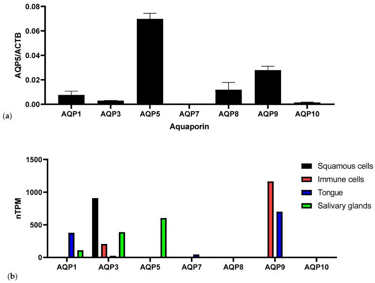 https://cdn.ncbi.nlm.nih.gov/pmc/blobs/f16c/12294493/dd4033580dd3/genes-16-00804-g001.jpg