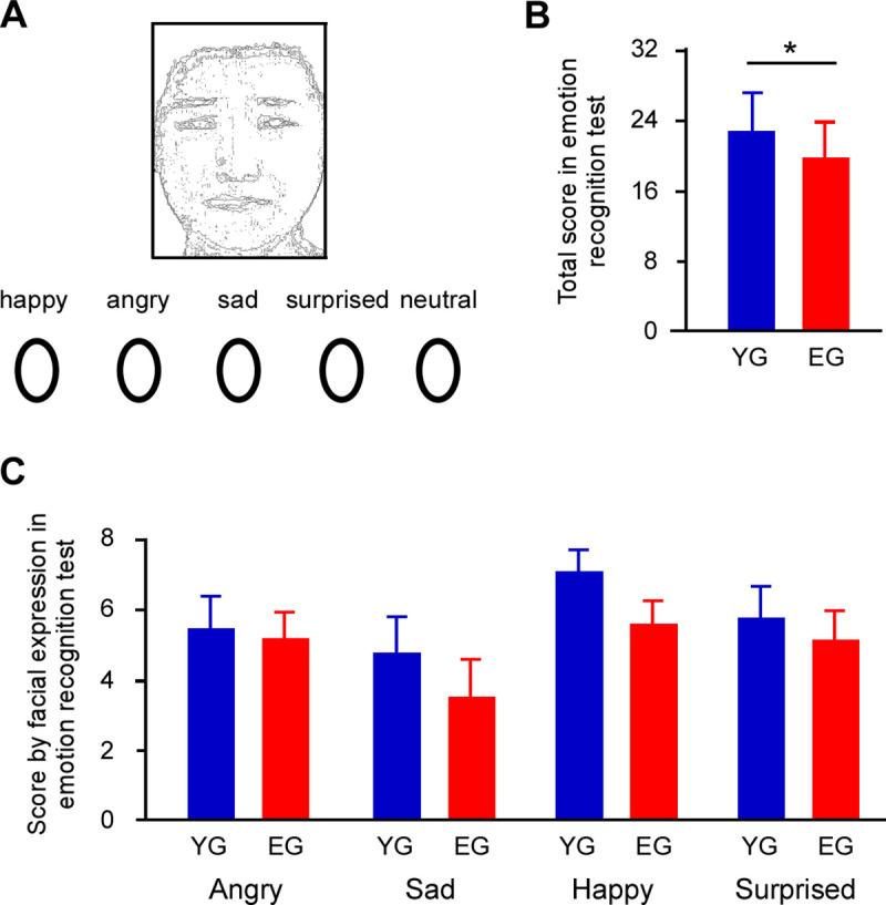 https://cdn.ncbi.nlm.nih.gov/pmc/blobs/f171/8297759/6dc0438b126a/pone.0254623.g001.jpg
