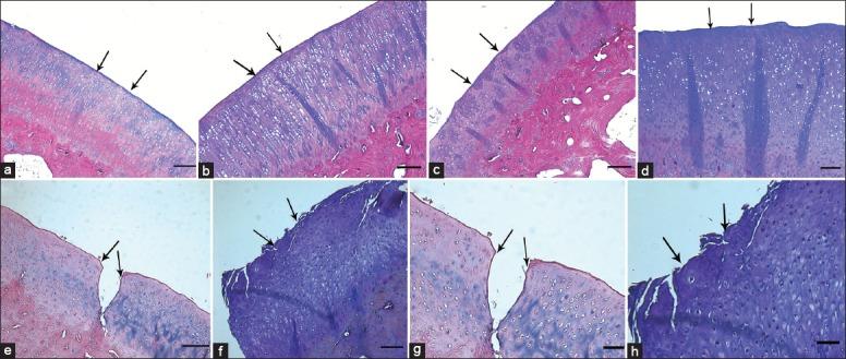 https://cdn.ncbi.nlm.nih.gov/pmc/blobs/f172/4830319/ad9959fad868/CMJ-128-1370-g002.jpg