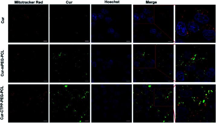 https://cdn.ncbi.nlm.nih.gov/pmc/blobs/f172/8694685/8d09aa489db2/d0ra09589c-f5.jpg