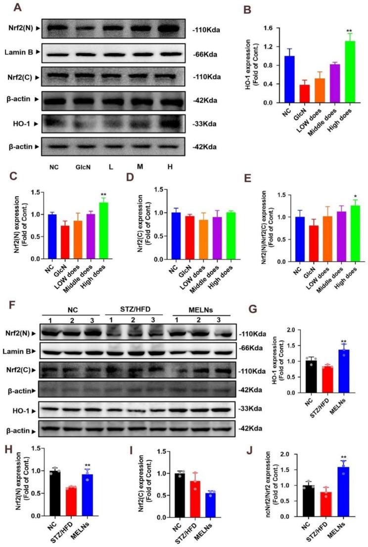 https://cdn.ncbi.nlm.nih.gov/pmc/blobs/f173/10536756/ac687bbf6941/12951_2023_2120_Fig5_HTML.jpg