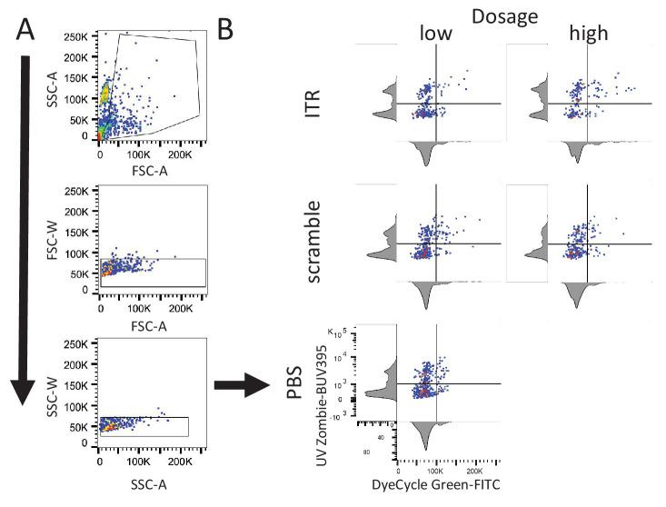 https://cdn.ncbi.nlm.nih.gov/pmc/blobs/f173/8331179/2a5034e22f80/elife-59291-fig3-figsupp1.jpg