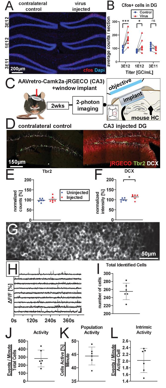 https://cdn.ncbi.nlm.nih.gov/pmc/blobs/f173/8331179/4d99f110af38/elife-59291-fig4.jpg