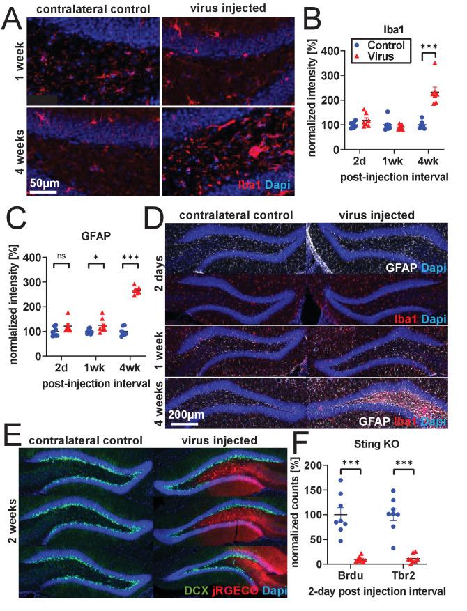 https://cdn.ncbi.nlm.nih.gov/pmc/blobs/f173/8331179/600a4d0e6b8c/elife-59291-fig2-figsupp2.jpg