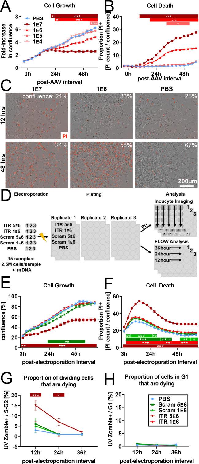 https://cdn.ncbi.nlm.nih.gov/pmc/blobs/f173/8331179/6c6618deeaad/elife-59291-fig3.jpg