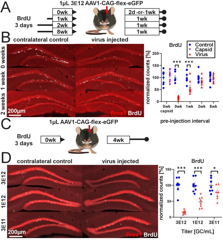 https://cdn.ncbi.nlm.nih.gov/pmc/blobs/f173/8331179/7e7ab597f439/elife-59291-fig1.jpg