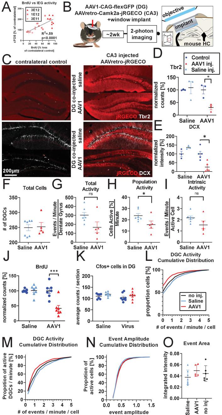 https://cdn.ncbi.nlm.nih.gov/pmc/blobs/f173/8331179/d216a9b4f2c7/elife-59291-fig4-figsupp1.jpg