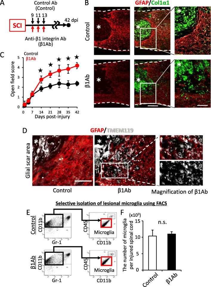 https://cdn.ncbi.nlm.nih.gov/pmc/blobs/f176/7789752/0cf1effaf148/12974_2020_2059_Fig1_HTML.jpg