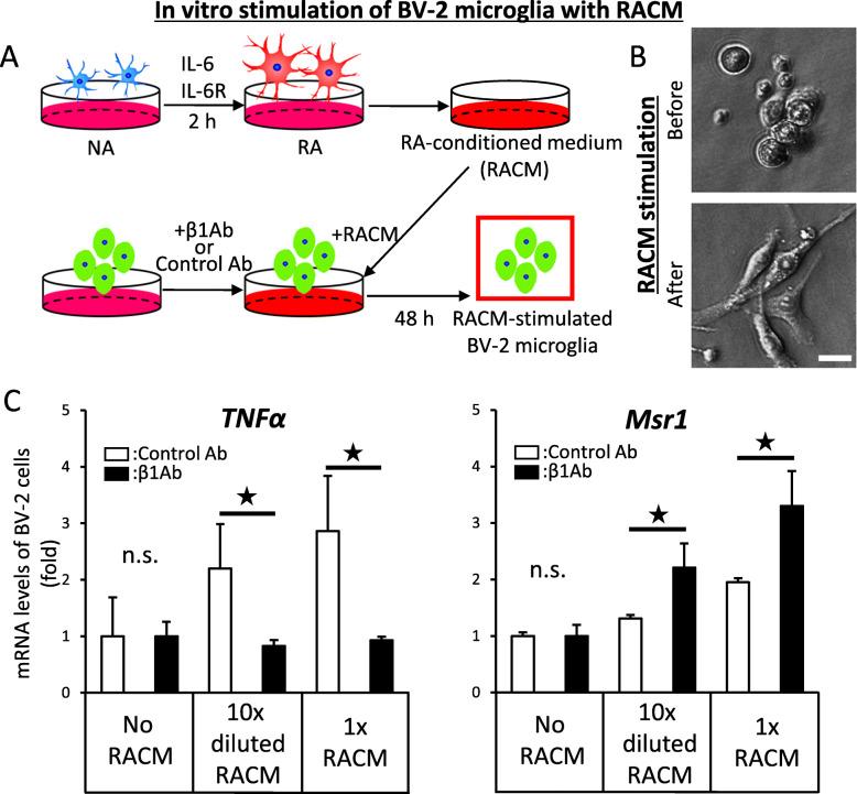 https://cdn.ncbi.nlm.nih.gov/pmc/blobs/f176/7789752/779a16881fb1/12974_2020_2059_Fig3_HTML.jpg