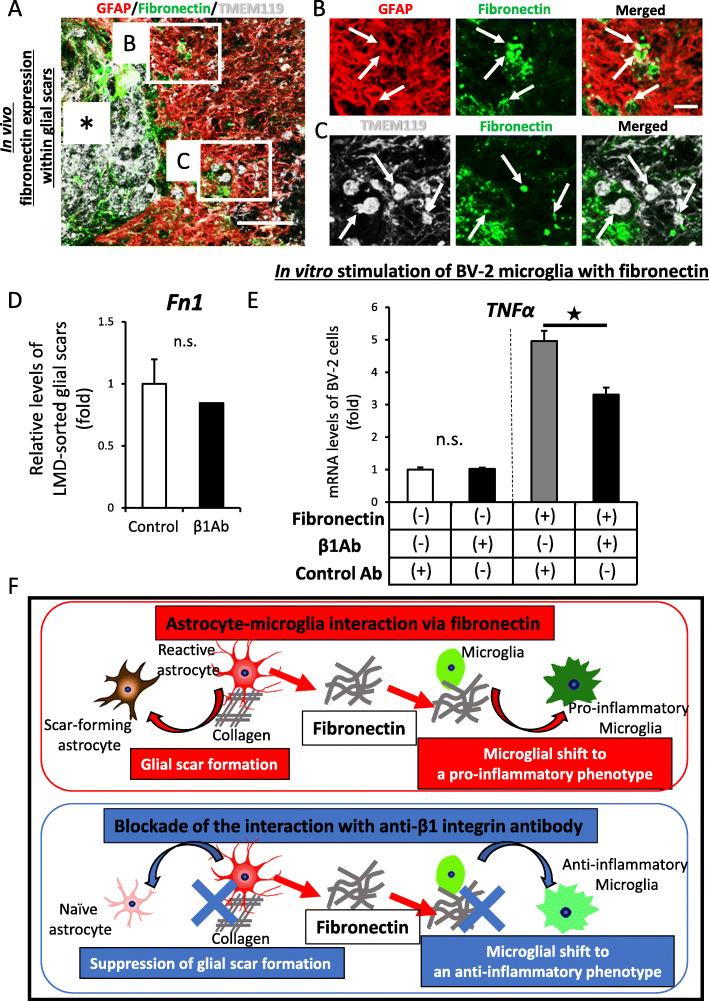 https://cdn.ncbi.nlm.nih.gov/pmc/blobs/f176/7789752/a6f21cca1391/12974_2020_2059_Fig5_HTML.jpg