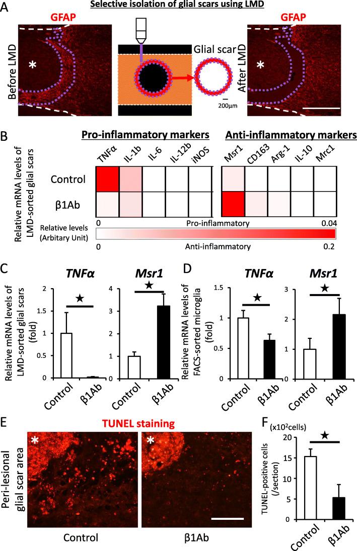 https://cdn.ncbi.nlm.nih.gov/pmc/blobs/f176/7789752/b846cd611cd7/12974_2020_2059_Fig2_HTML.jpg