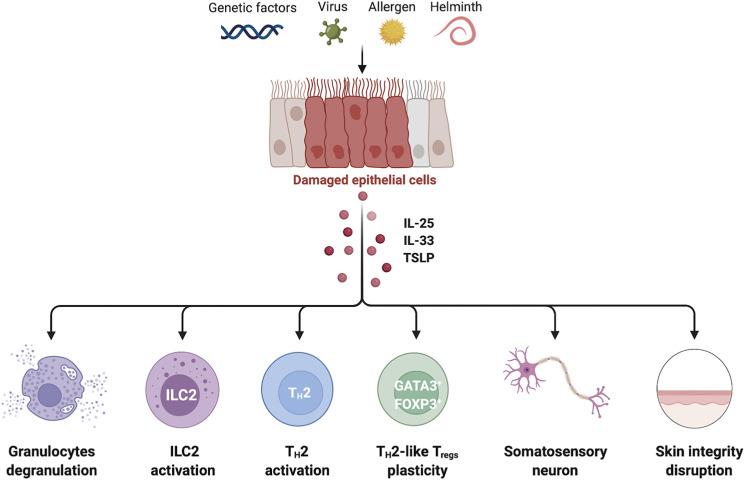 https://cdn.ncbi.nlm.nih.gov/pmc/blobs/f177/8901708/6c653a68d1a1/in-22-e11-g001.jpg