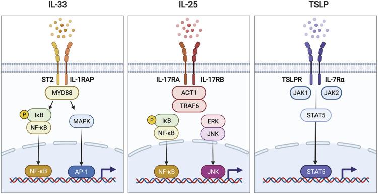 https://cdn.ncbi.nlm.nih.gov/pmc/blobs/f177/8901708/da85bd76e46a/in-22-e11-g002.jpg