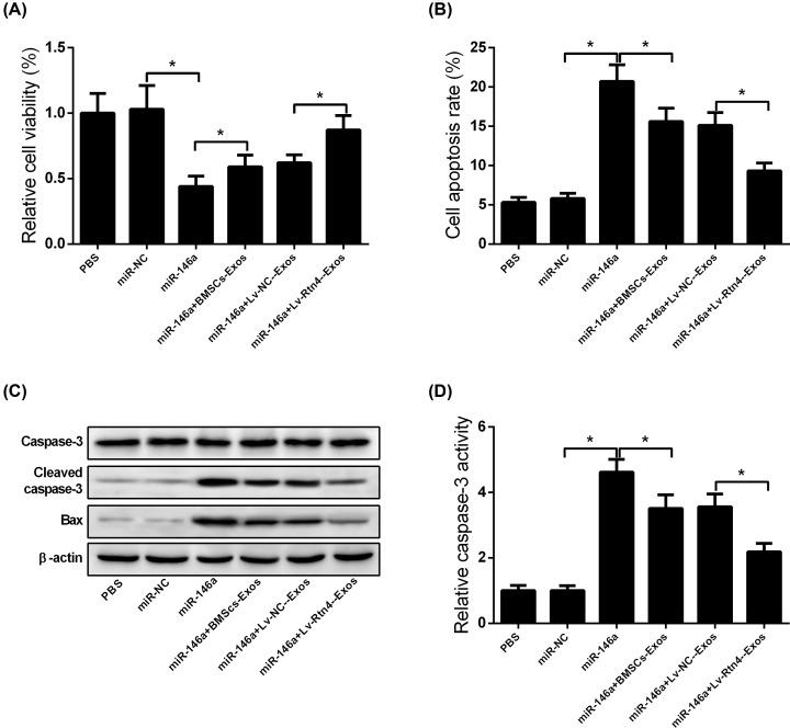 https://cdn.ncbi.nlm.nih.gov/pmc/blobs/f179/7251325/a8d3c4ae59b2/bsr-40-bsr20193436-g6.jpg