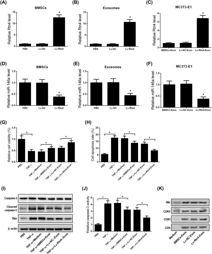 https://cdn.ncbi.nlm.nih.gov/pmc/blobs/f179/7251325/ee9ad4b56a59/bsr-40-bsr20193436-g4.jpg
