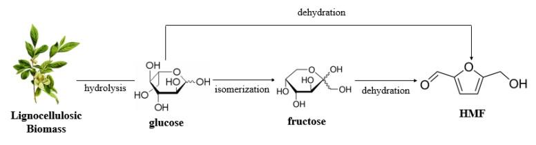 https://cdn.ncbi.nlm.nih.gov/pmc/blobs/f17c/7036796/32e6bf51ff00/molecules-25-00541-g004.jpg