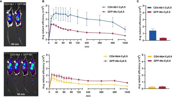 https://cdn.ncbi.nlm.nih.gov/pmc/blobs/f17c/8696186/4905f45976dc/fimmu-12-799910-g005.jpg