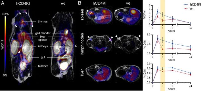 https://cdn.ncbi.nlm.nih.gov/pmc/blobs/f17c/8696186/bfef08089eed/fimmu-12-799910-g006.jpg