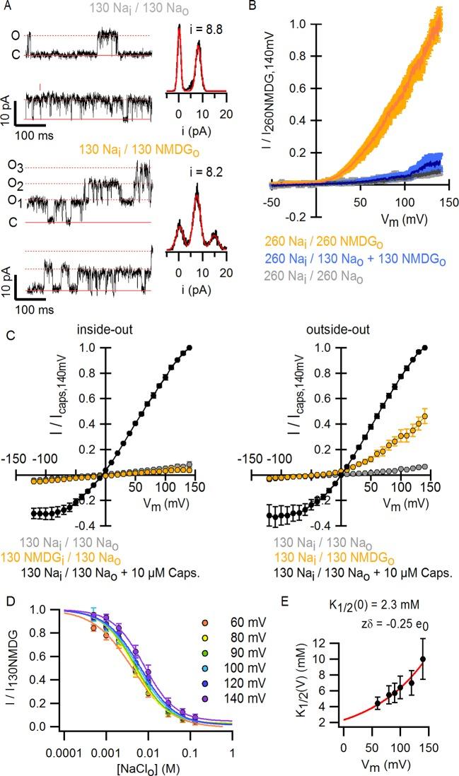 https://cdn.ncbi.nlm.nih.gov/pmc/blobs/f17f/4764576/443efd7f3dda/elife-13356-fig2.jpg