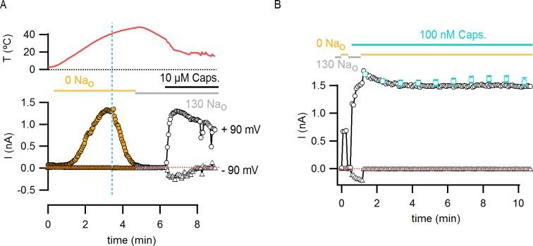 https://cdn.ncbi.nlm.nih.gov/pmc/blobs/f17f/4764576/6240c50f7b9c/elife-13356-fig5-figsupp1.jpg
