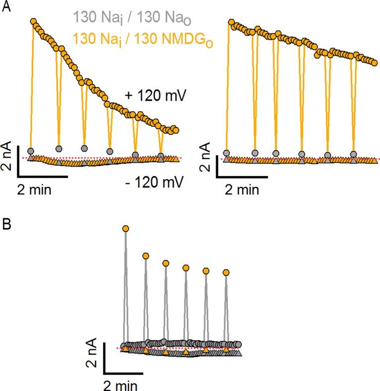 https://cdn.ncbi.nlm.nih.gov/pmc/blobs/f17f/4764576/6e4e52d438a5/elife-13356-fig1-figsupp1.jpg