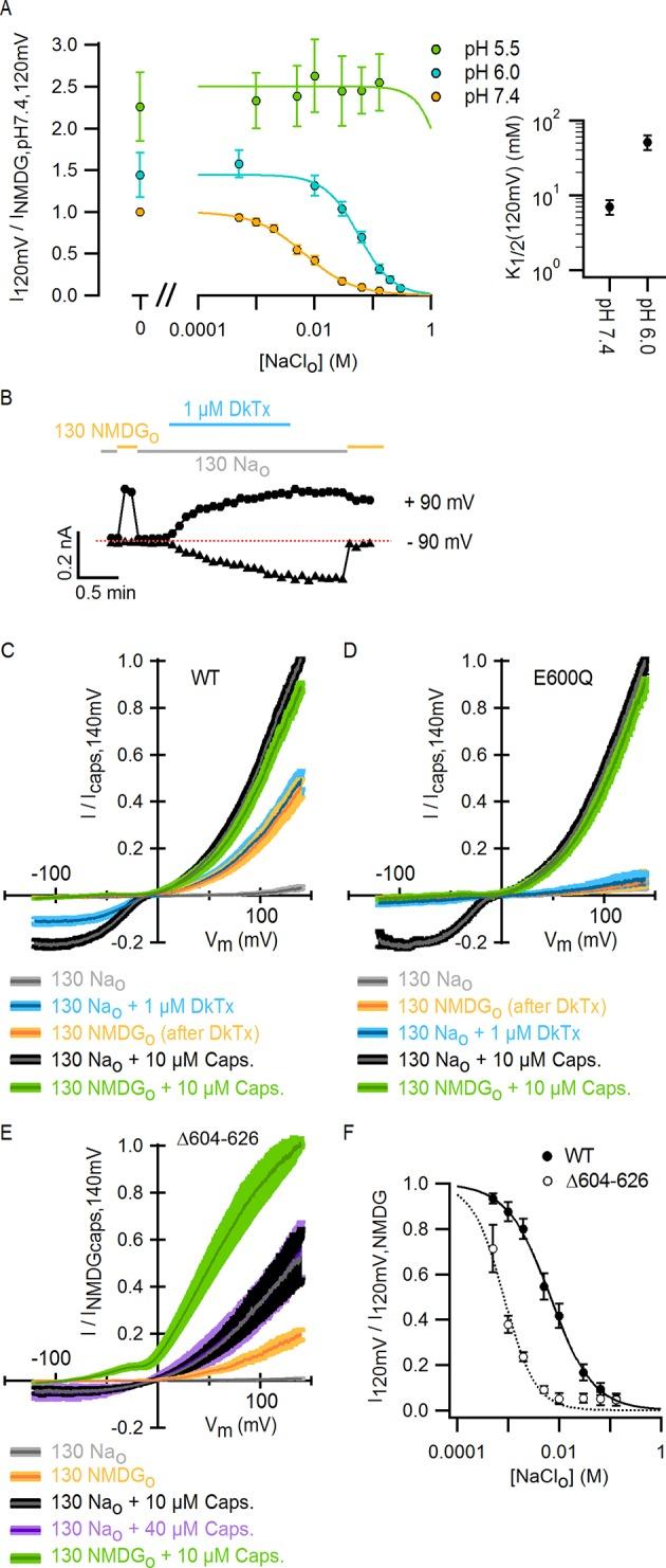 https://cdn.ncbi.nlm.nih.gov/pmc/blobs/f17f/4764576/ca6abc6c81aa/elife-13356-fig3.jpg